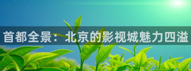 新闻图片