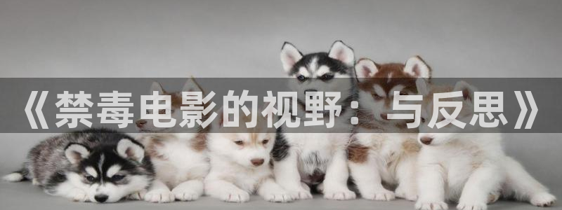 奇优影视手机版电视剧