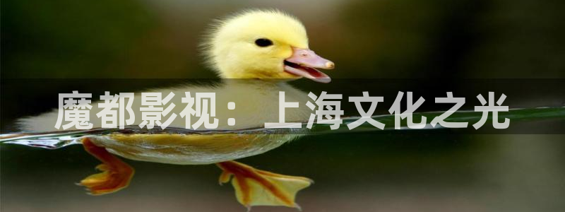 奇优影院在线看手机版在线观看