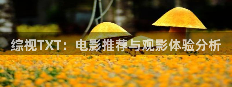 奇优影院的最新版本更新内容