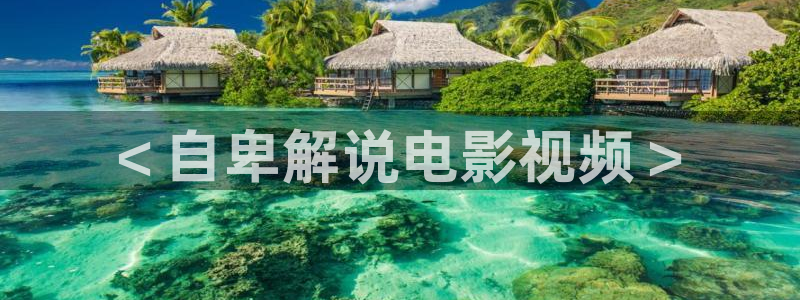奇优影院在线观看将夜