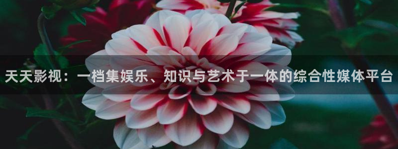奇优影视手机版免费观看电视剧漂亮