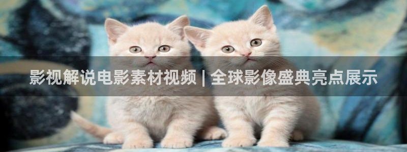 奇优影院手机在线免费观看
