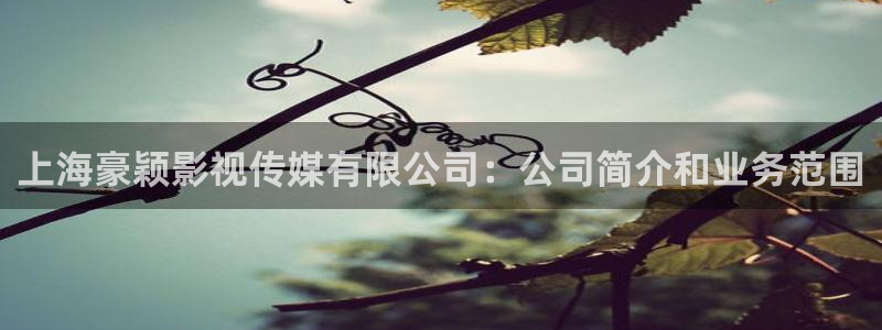 奇优影院手机版免费在线观看