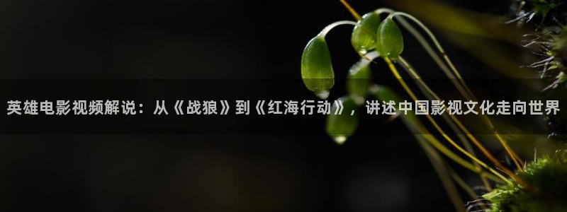 奇优影视高清电影免费观看