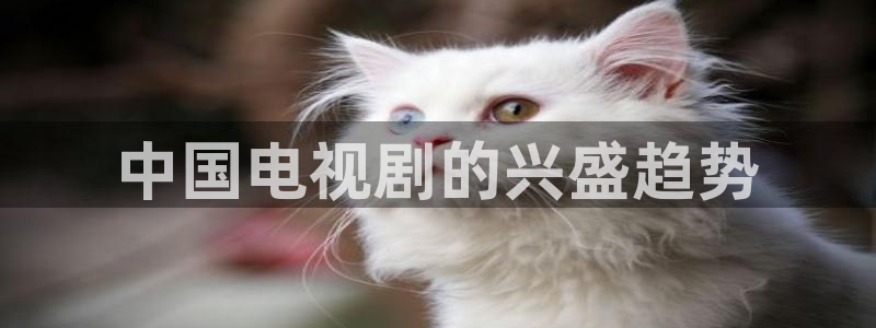 奇优影院电视剧手机版免费首页