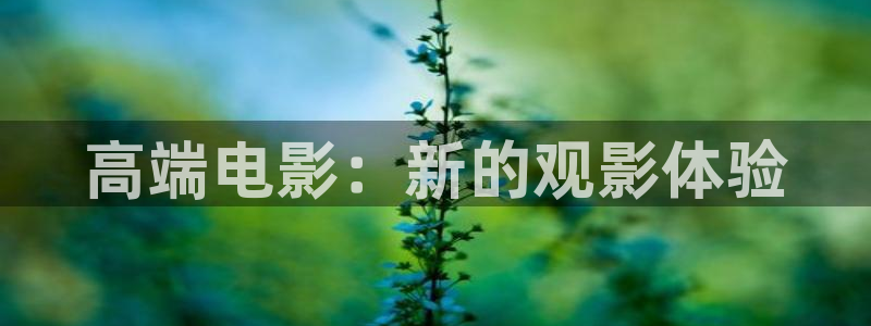奇优影院在线手机免费播放