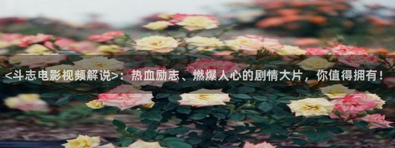 奇优影院艳母