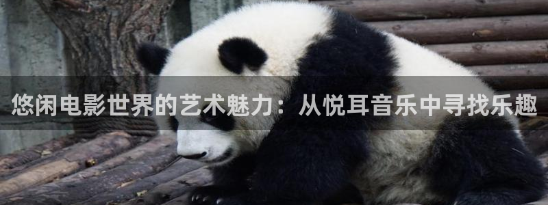 手机版奇优影院伦理片