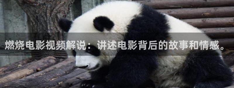 奇优影院在线免费