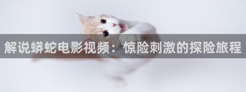 奇优影院在线看电视剧