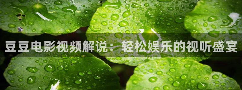 奇优影院手机版免费高清电视剧