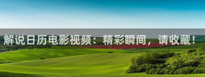 奇优影院黑狐影院在线观看