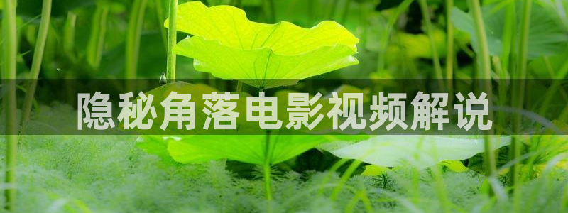 奇优影院伦理片在线观看