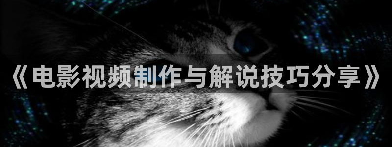 奇优影院在线观看免费观看电视