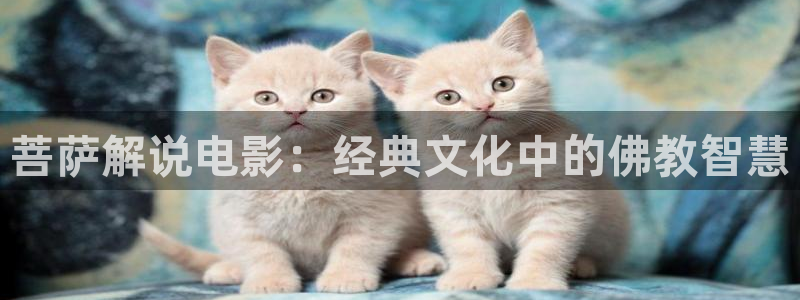 _奇优影院手机版_免费高清观看手机看片