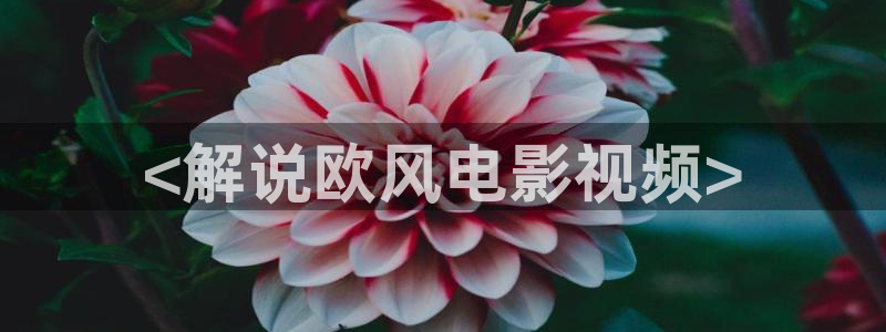 奇优影院电视剧第一页