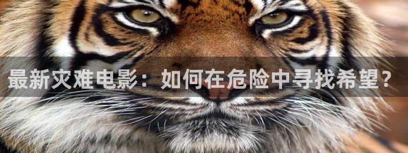奇优影视在线观看免费