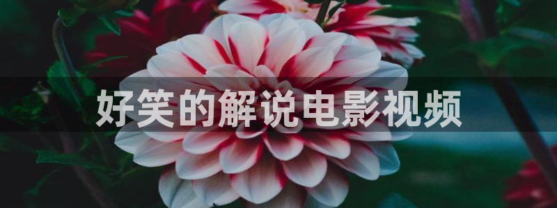奇优影院电视剧在线观看