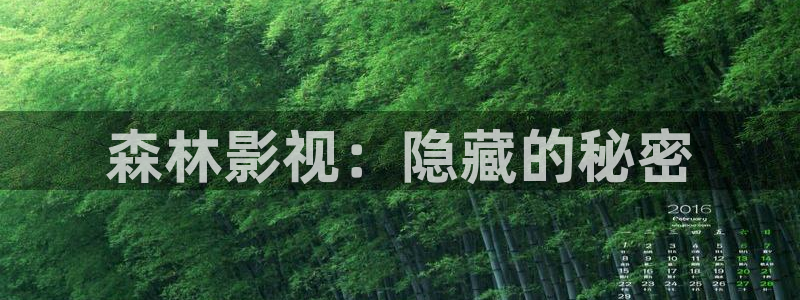 奇优影院黑狐影院yy4800