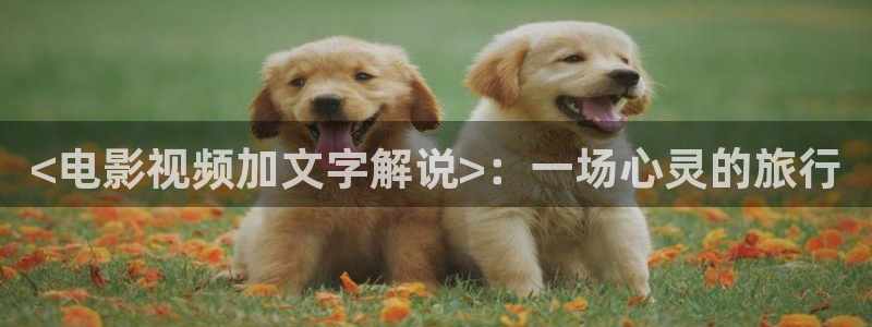 奇优影院手机版免费高清视频