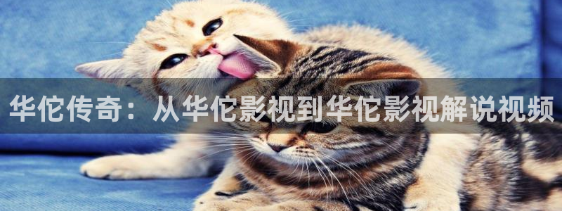 奇优影院在线看免费版