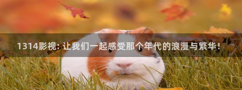 奇优影院电视版