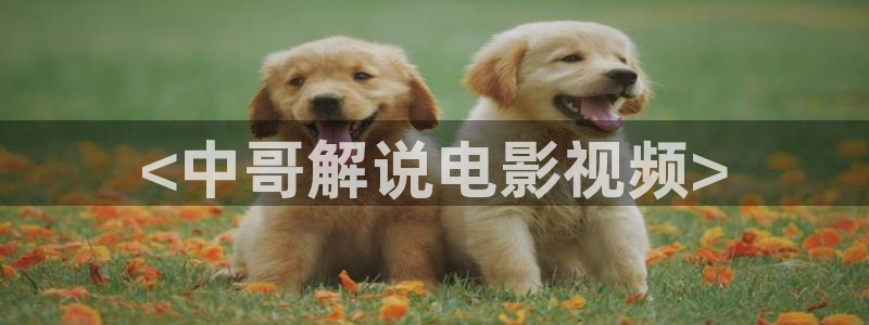 奇优影院 手机在线观看