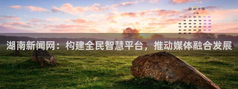 在线免费观看奇优影院